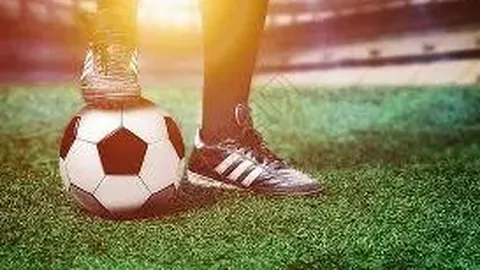 bwin体育 资讯 083729 5a5