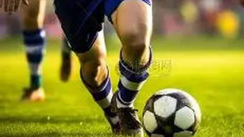 bwin体育 资讯 083708 7pz