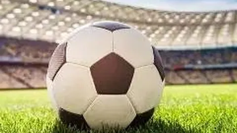 bwin体育 资讯 083326 nt6