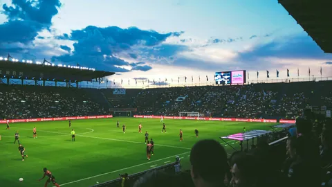 bwin体育 产品 083244 7aq